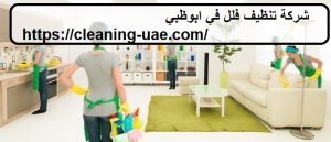شركة تنظيف فلل في ابوظبي