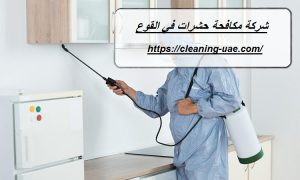 شركة مكافحة حشرات في القوع