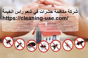 شركة مكافحة حشرات في شعم راس الخيمة